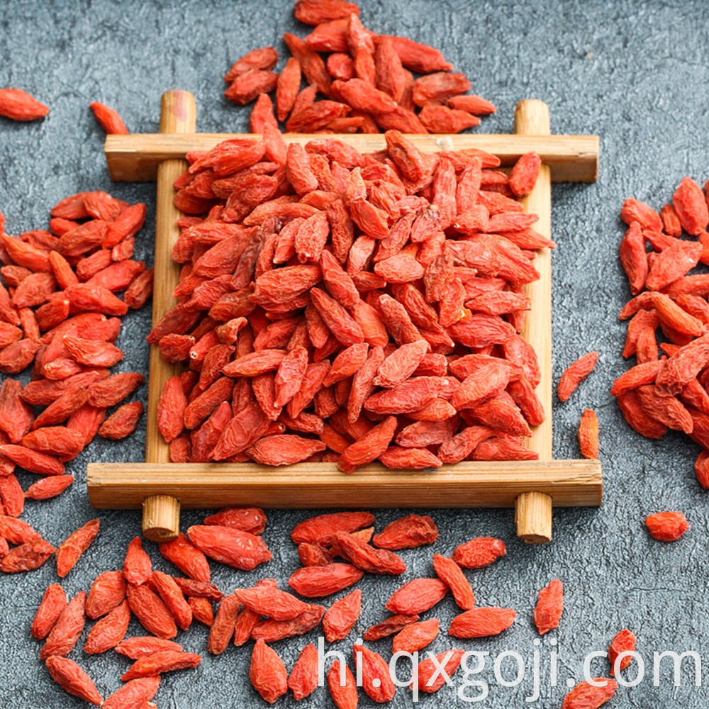 Organic Superfood Goji Berries